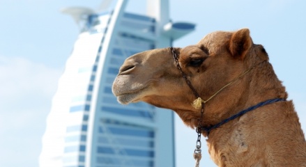 Immersing in the Culture and Traditions of the UAE: A Guide for New Residents and Investors